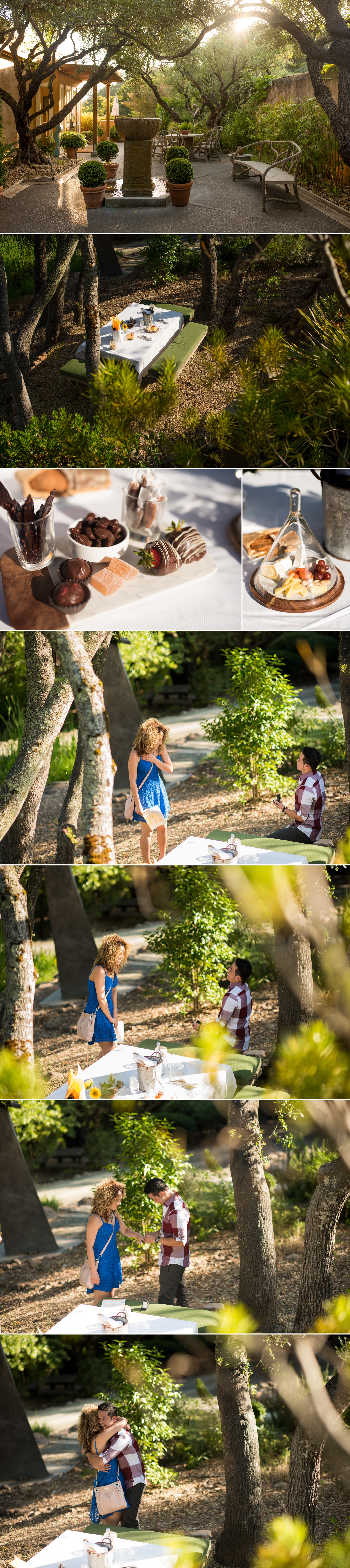 Wedding Proposal Photos at Auberge du Soleil 1